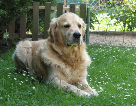 Barry